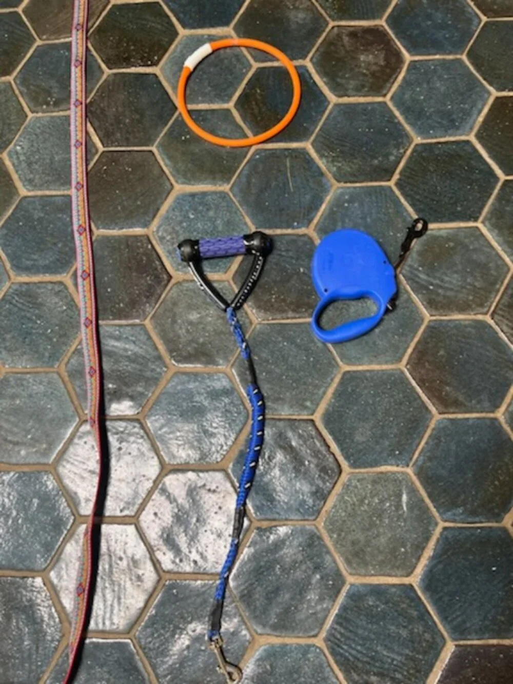 Dog Leashes plus light collar